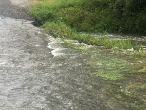 Process to fix Ida damage moving along